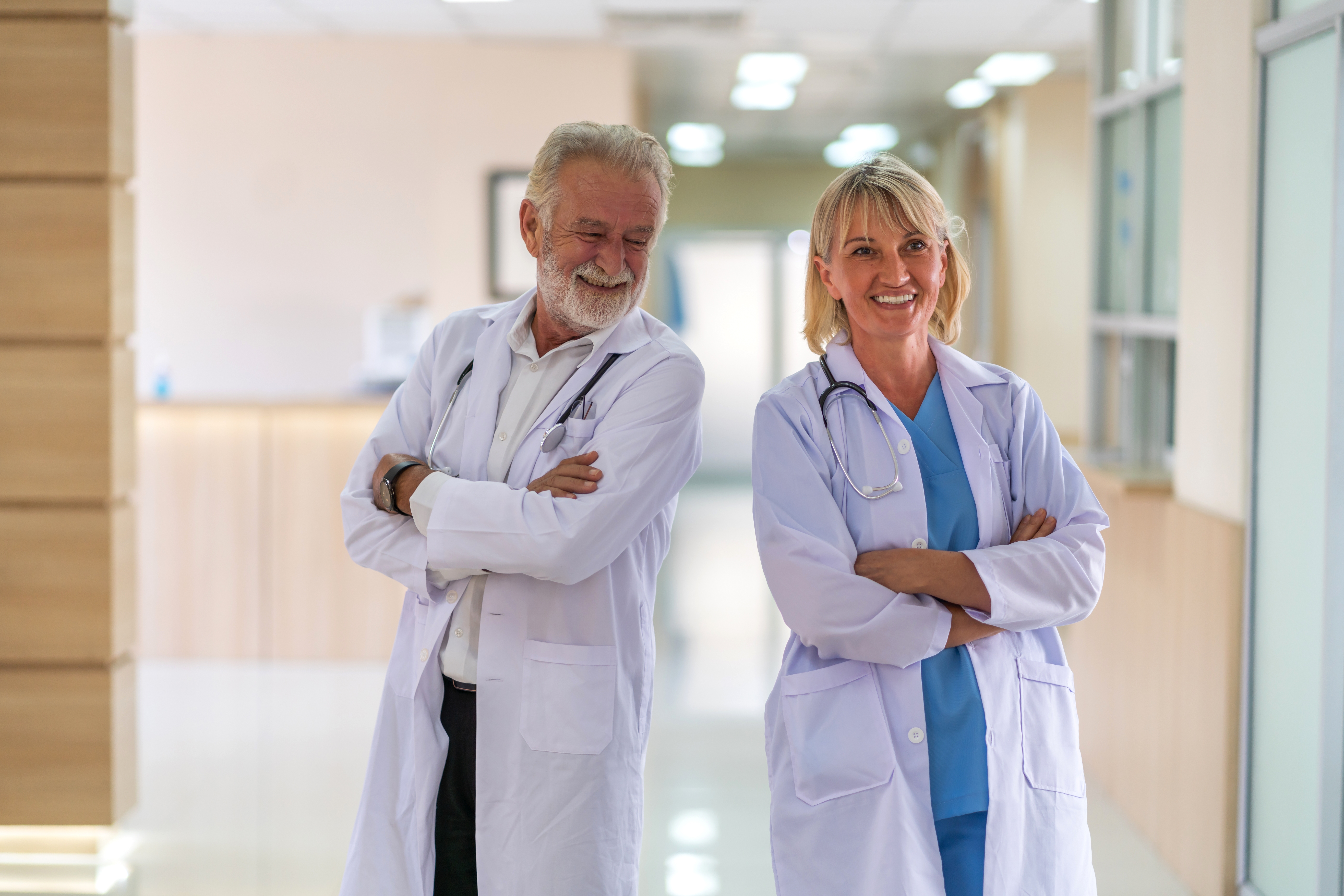 dental partnership Palm Harbor FL